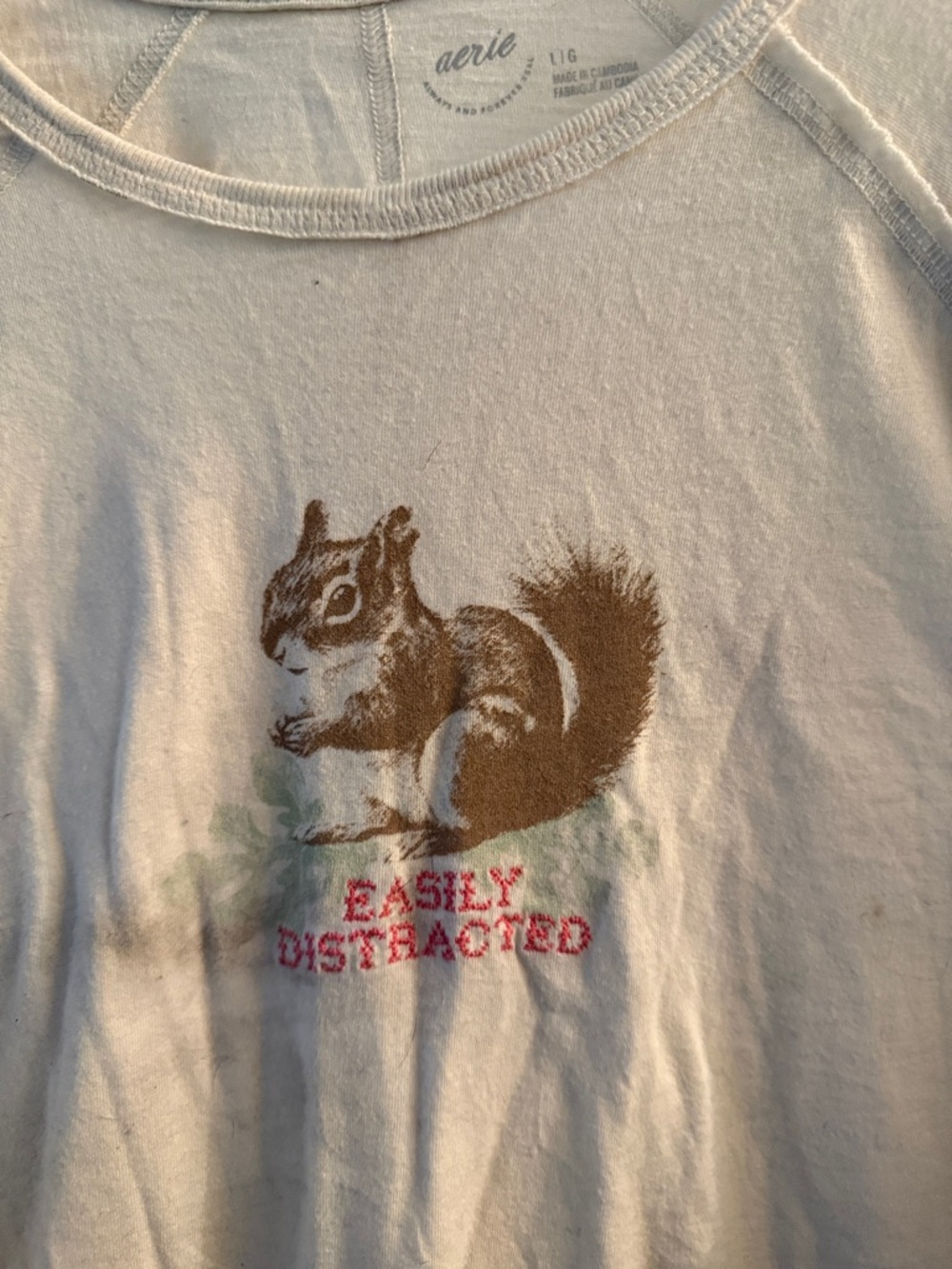 aerie Cream Graphic long sleeve top with  Squirrel and Pink Text
